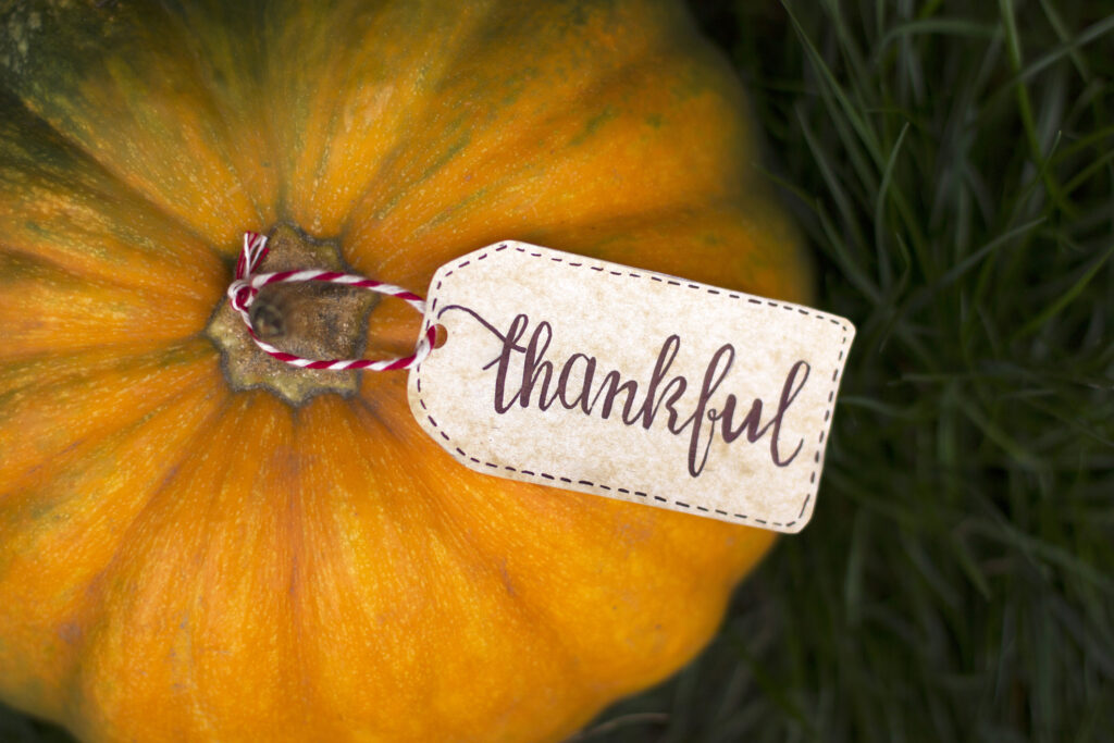 3 Reasons to be Thankful for Your Pool & Spa 5 thankful for pool & spa